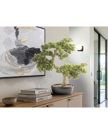 BANKAN - BONSAI 75CM